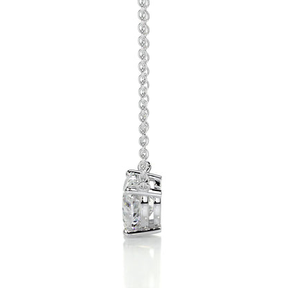 BB005