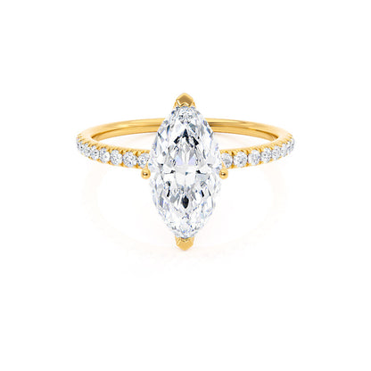 LAW151